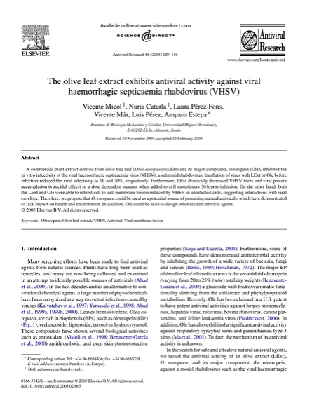 Olive Leaf Extract Exhibits Antiviral Activity in Spain 2005
