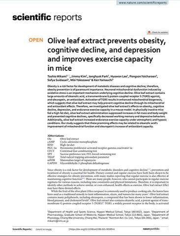 Olive Leaf Exract Prevents Obesity, Cognitive Declies in Japan in 2021