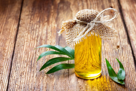 The History of Olive Oil in Greece (From Ancient Times to Today)