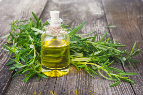 What “PDO” and “PGI” Mean on Greek Olive Oil