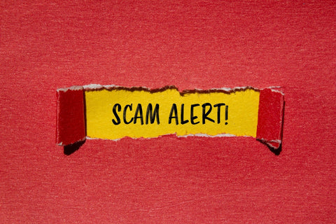 The Biggest Olive Oil Scams in the U.S. and Europe