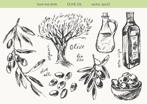 How High Phenolic Olive Oil Supports Heart Health
