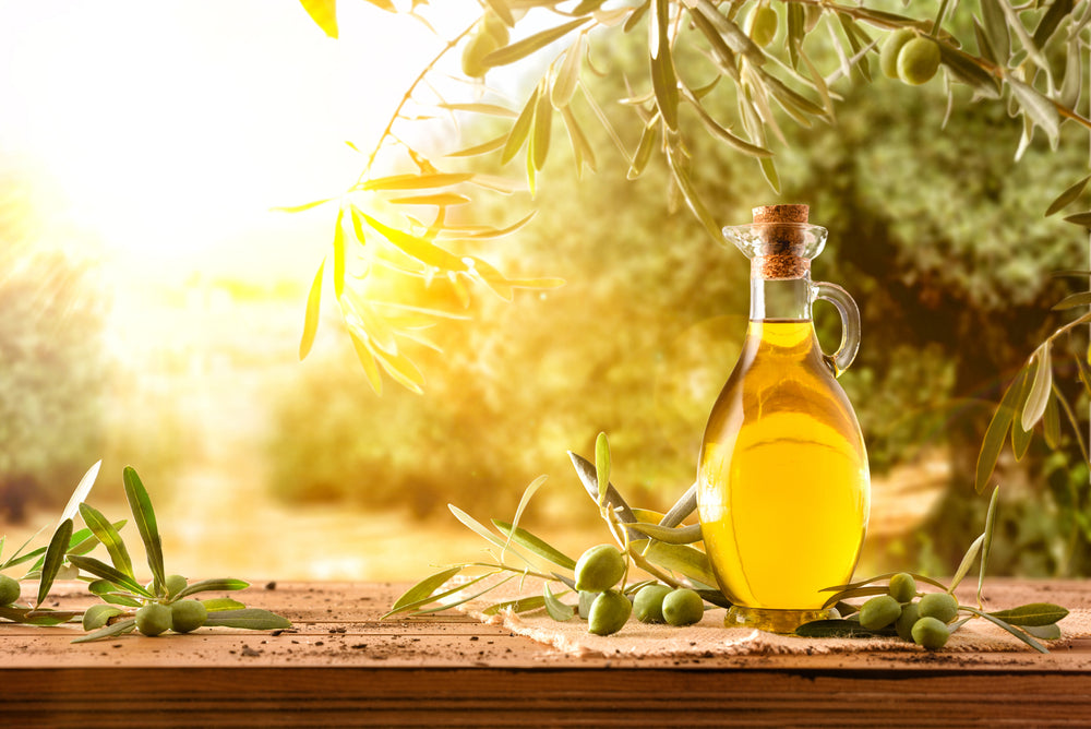 Olive Tree