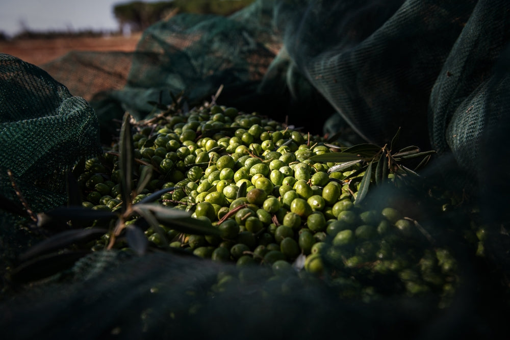 Health Benefits Image